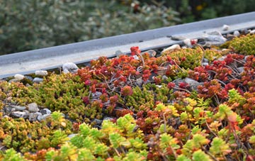 the cost of Padgate green roof installation