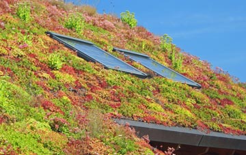 Padgate living roof systems