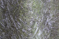 Padgate fibreglass roof work